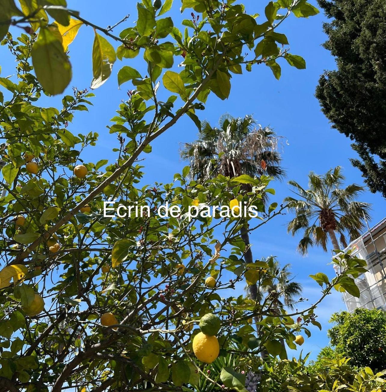 Casa Andrea Appartement Tout A Pied Avec Grand Jardin Sanary-sur-Mer Zewnętrze zdjęcie