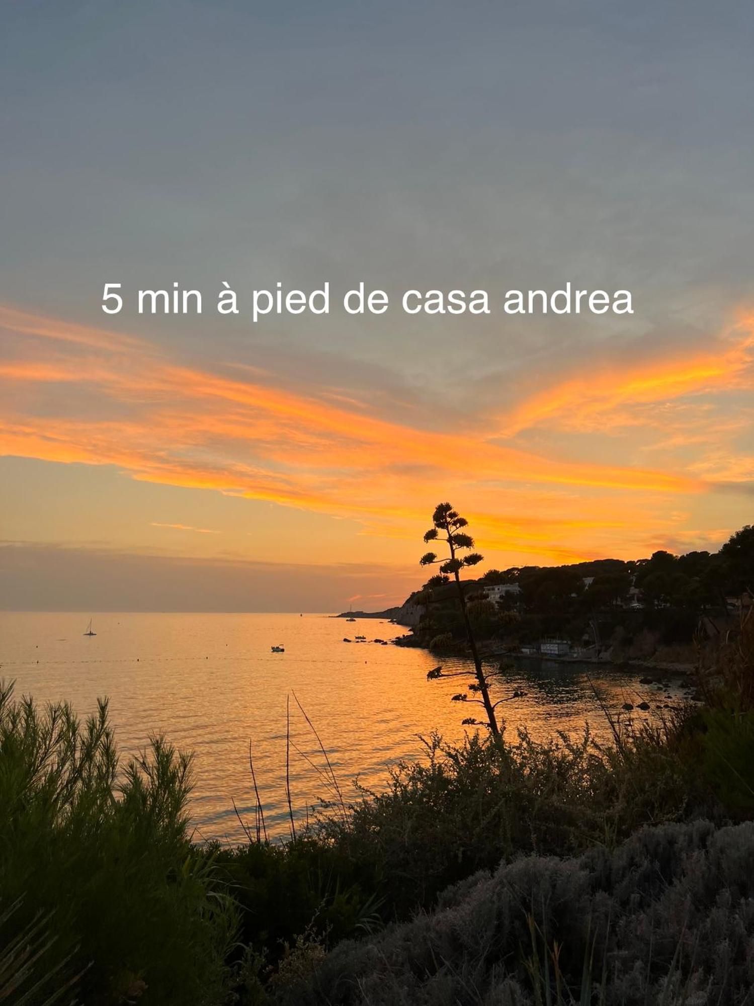 Casa Andrea Appartement Tout A Pied Avec Grand Jardin Sanary-sur-Mer Zewnętrze zdjęcie